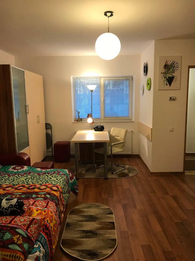 Idefix Apartment 克卢日-纳波卡 外观 照片