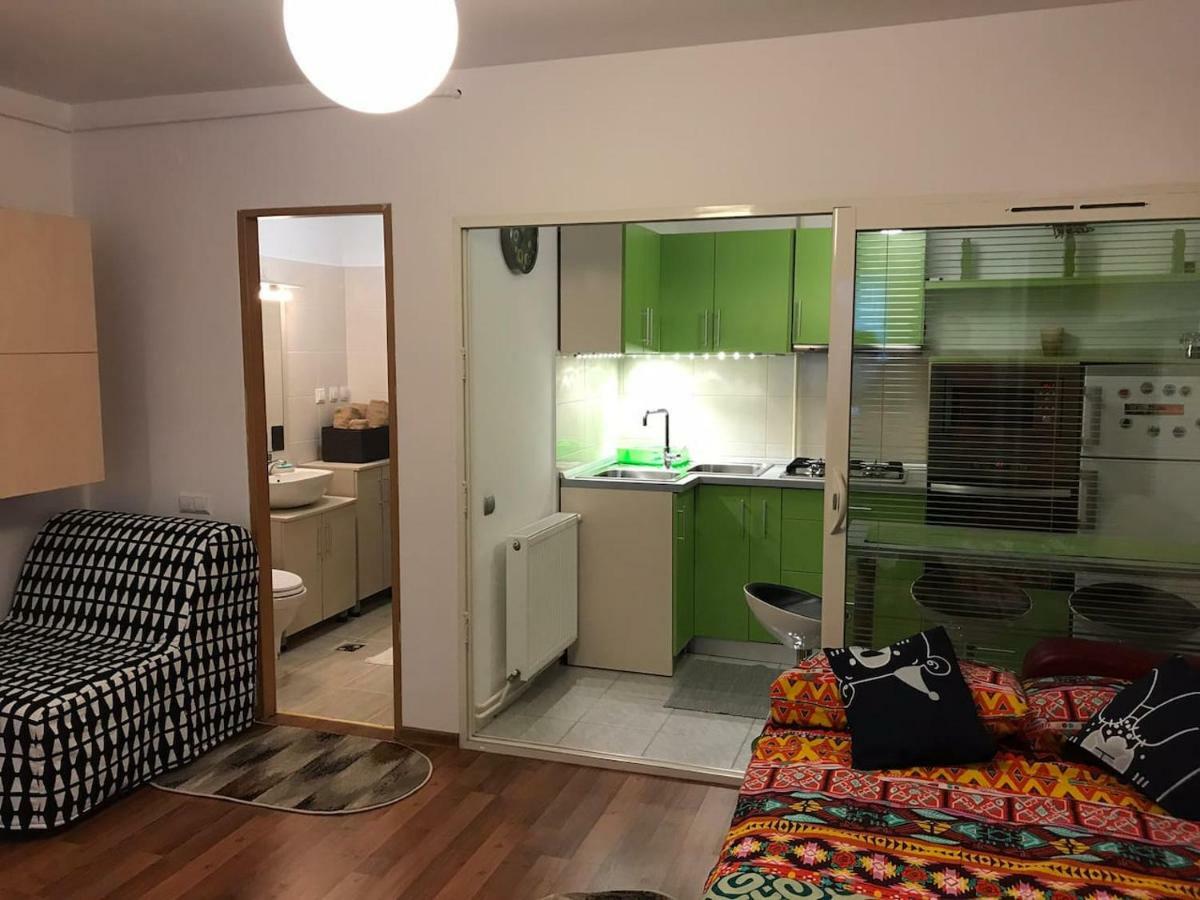 Idefix Apartment 克卢日-纳波卡 外观 照片