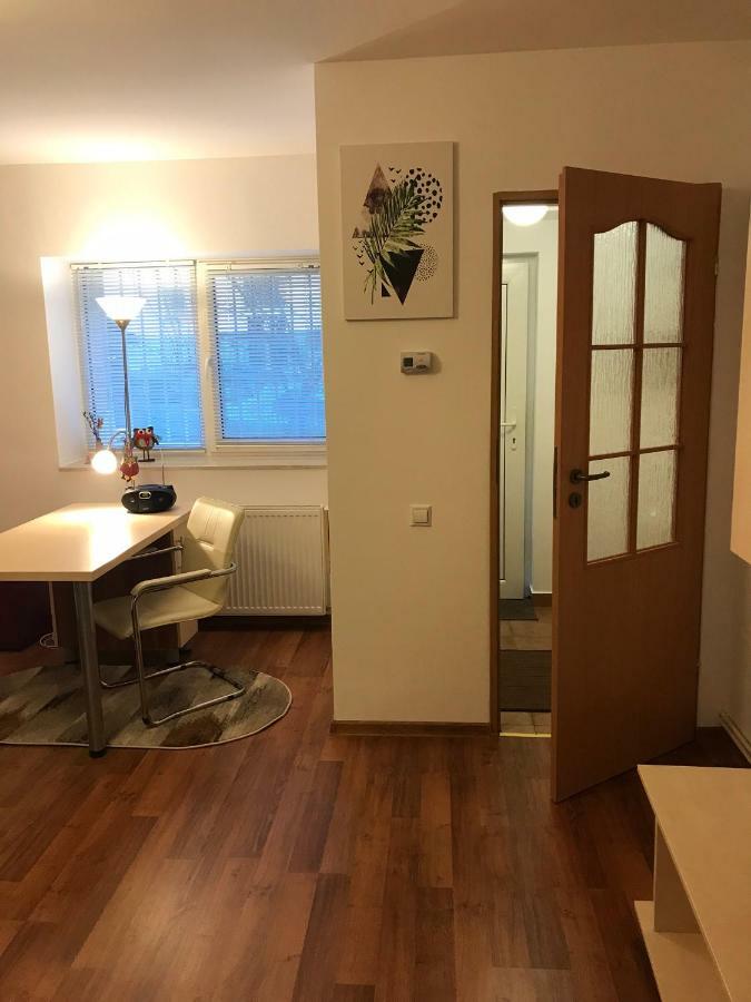 Idefix Apartment 克卢日-纳波卡 外观 照片