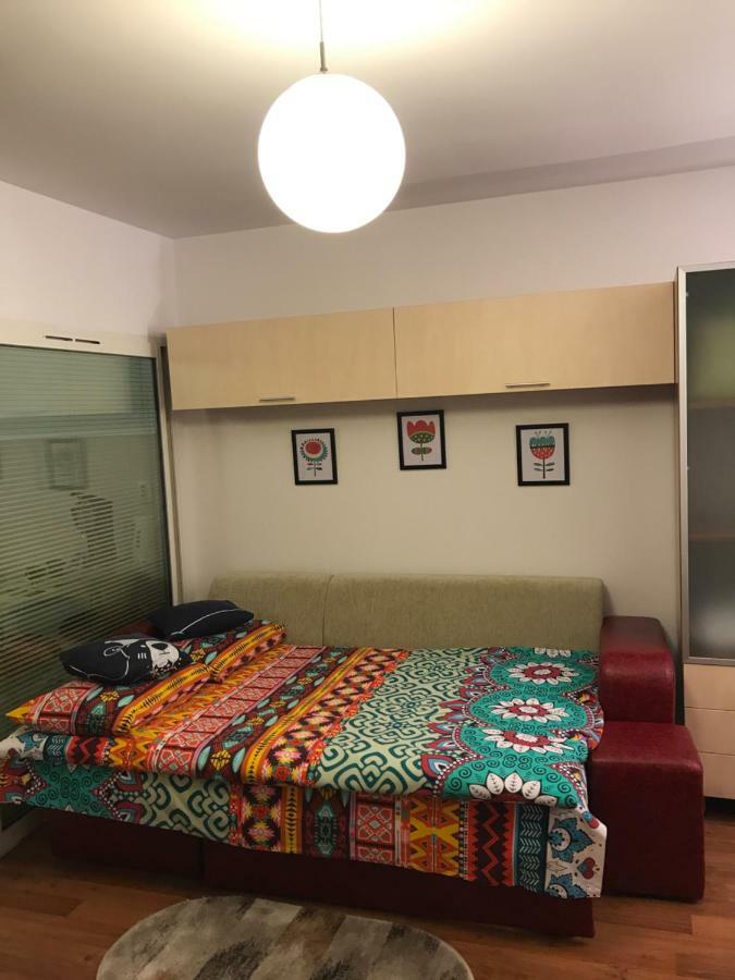 Idefix Apartment 克卢日-纳波卡 外观 照片